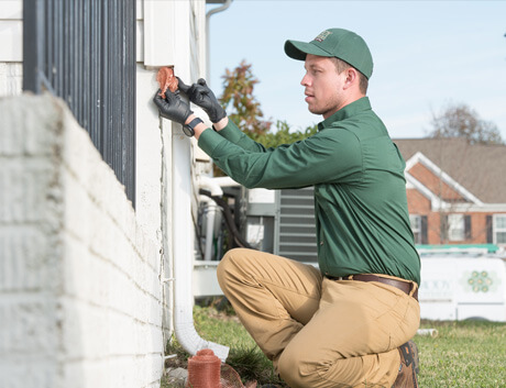 We're Committed to Providing Effective, Professional Pest Extermination professional-pest-control-company-near-me-columbia-maryland