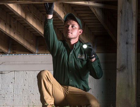Learn More about Our Home Protection Plan Quarterly Pest Control Services in Columbia MD brody-brothers-professional-completing-pest-control-services-columbia-maryland