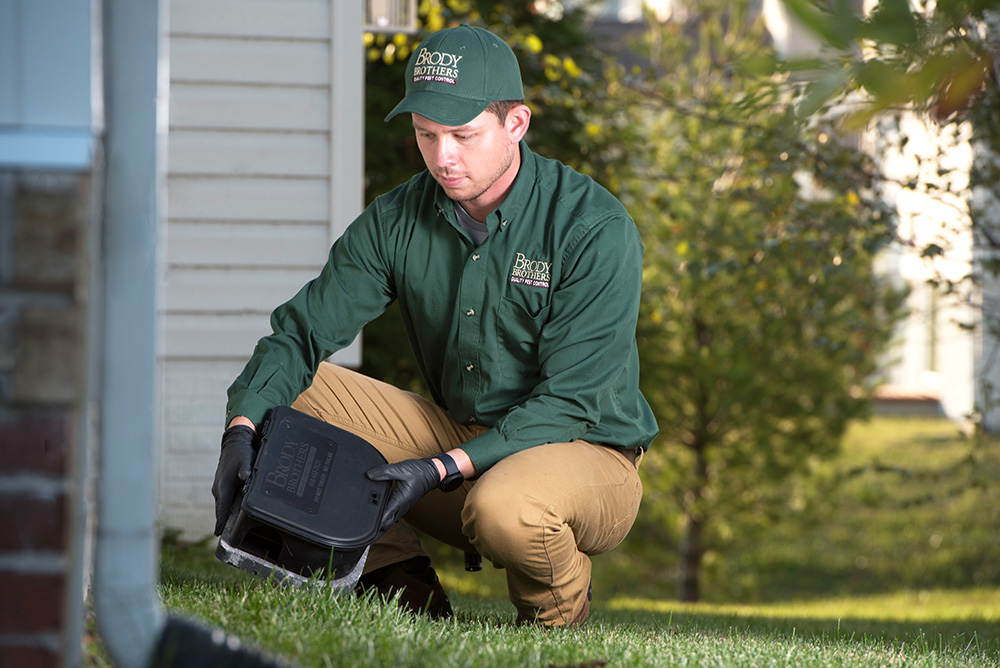 We're Committed to Providing Effective, Professional Pest Extermination in Anne Arundel County professional-pest-control-company-near-me-anne-arundel-maryland
