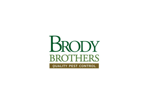 brody-brothers-pest-detectives