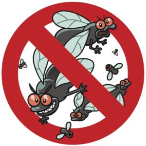 dangerous-house-flies-baltimore
