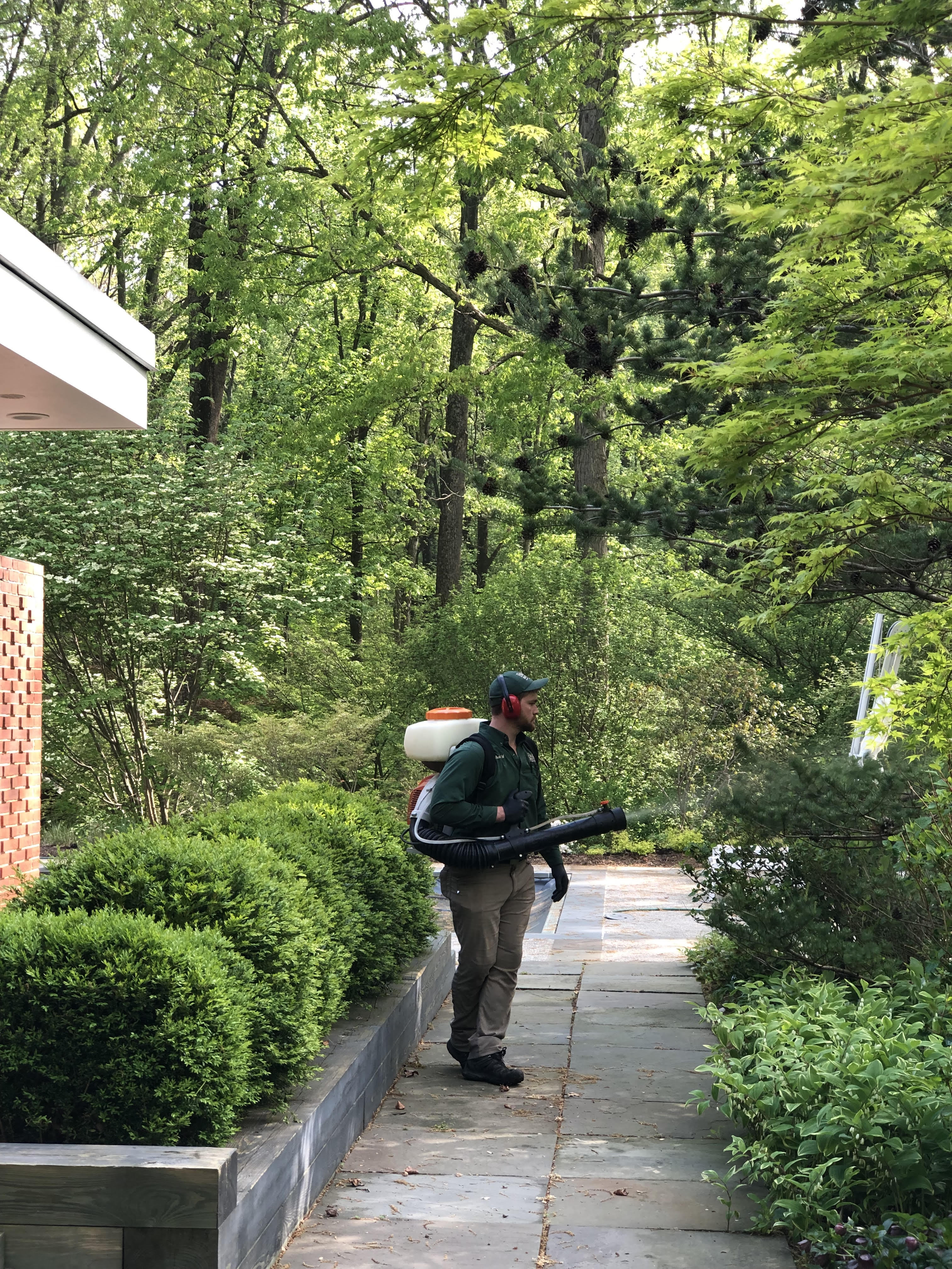 technician spray for mosquitoes