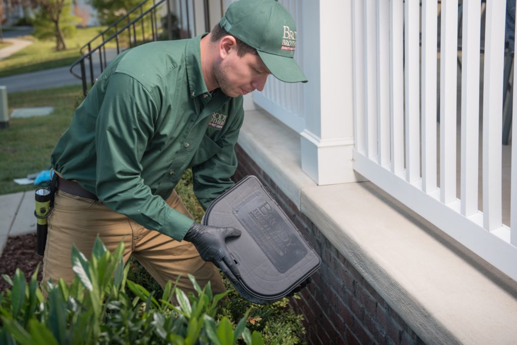 professional pest control in baltimore