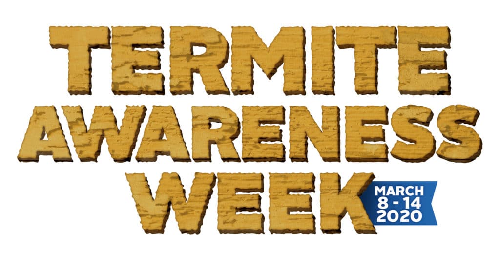 termite-awareness-week-what-to-know-as-warm-weather-approaches