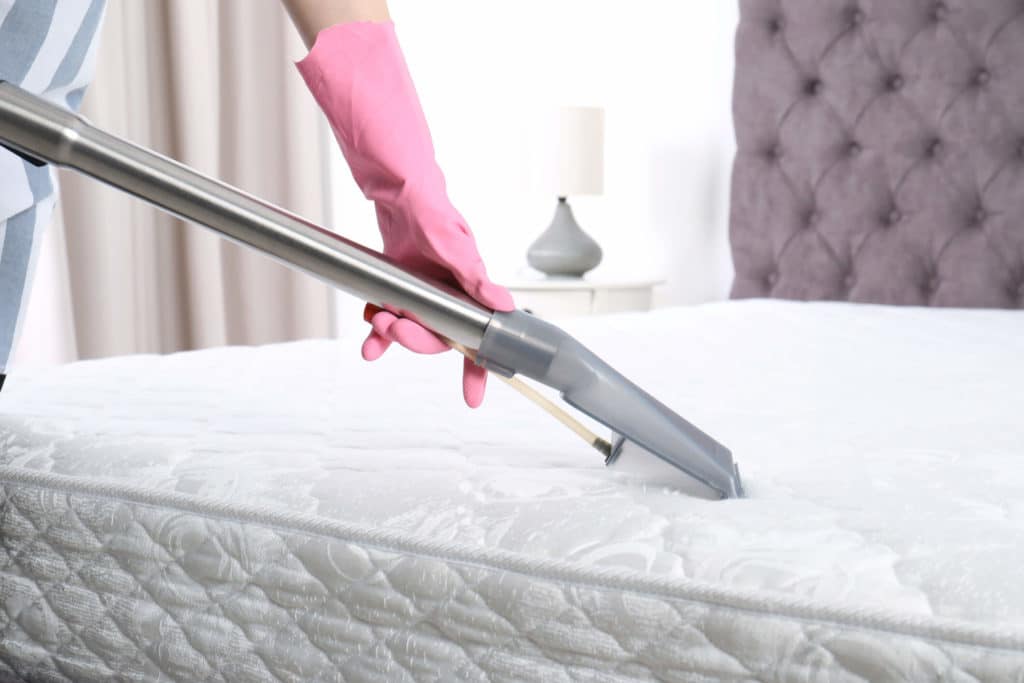 vacuum-bed-to-treat-bed-bugs-md
