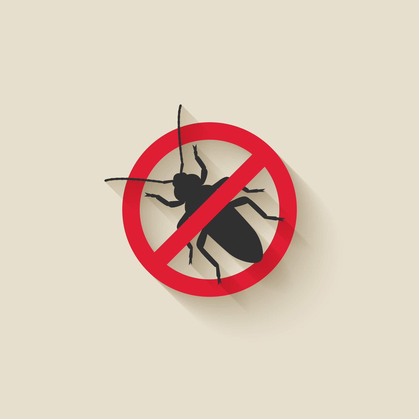 Best pest control in baltimore 5 star rated brody brothers pest control