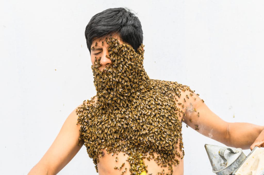 Learn why trying diy home pest control can be dangerous. Maryland homeowner getting swarmed by wasps from trying diy pest control