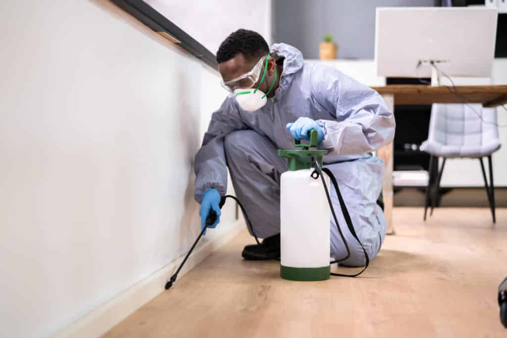 Owings Mills, MD exterminator sprays home for quarterly pest control.