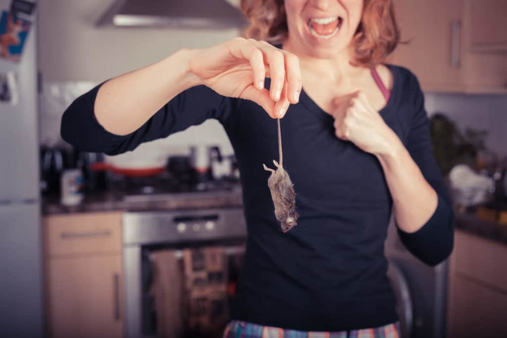 Woman in her Chevy Chase home holding up a dead mouse in horror.