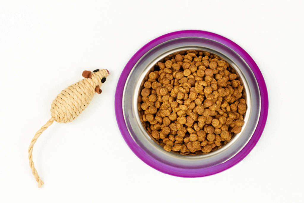 Toy mouse and bowl of pet food.