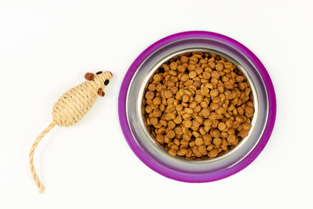 Learn the steps you can take to protect your Maryland home from mice this winter. Toy mouse and bowl of pet food.