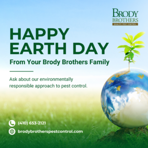 image of the earth with a plant sprouting from the top representing Brody Brothers Pest Controls' celebration of Earth Day
