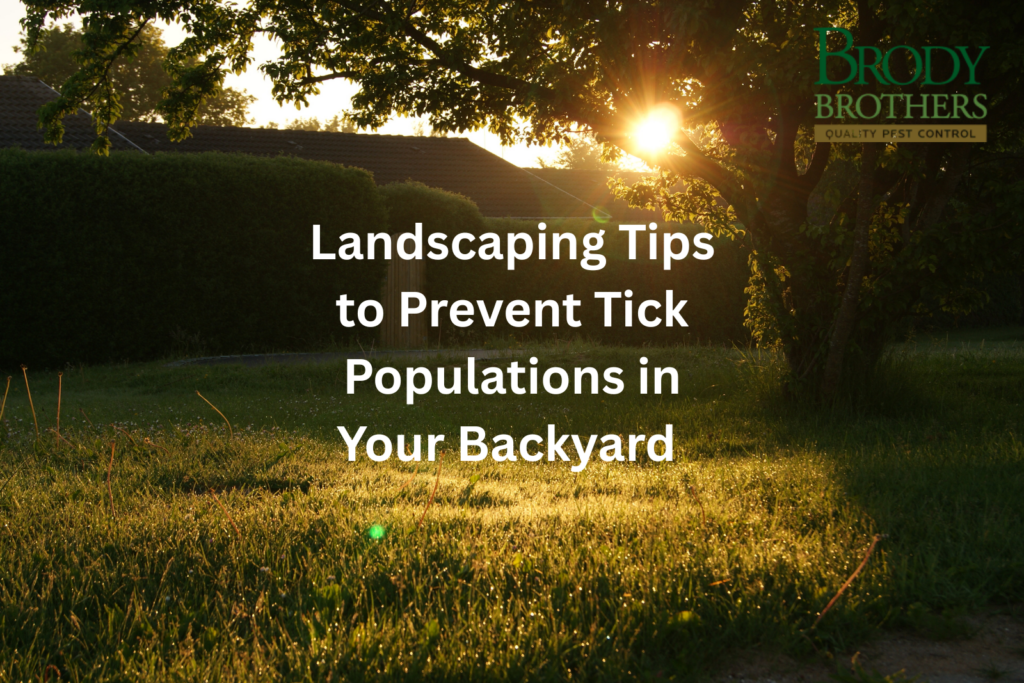 Landscaping Tips to Prevent Tick Populations in Your Backyard