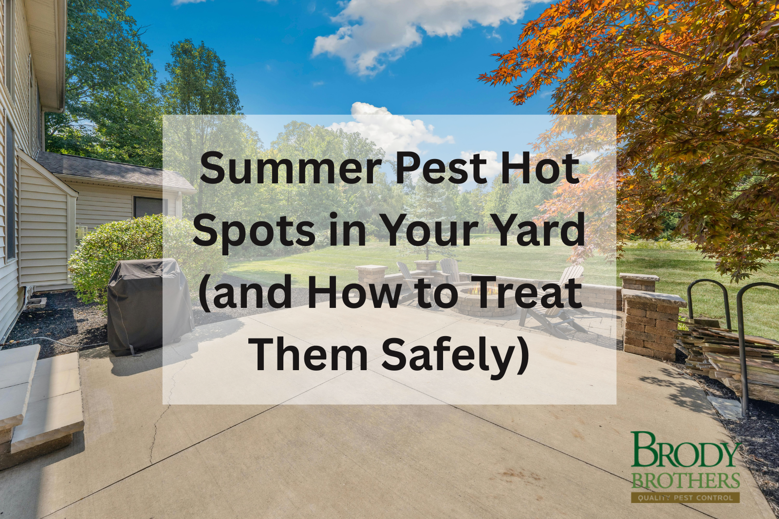 summer-pest-hot-spots-in-your-yard-and-how-to-treat-them-safely