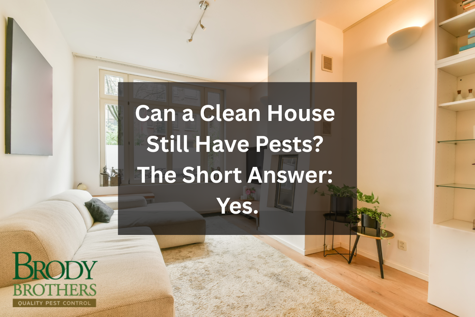 can-a-clean-house-still-have-pests-the-short-answer-yes
