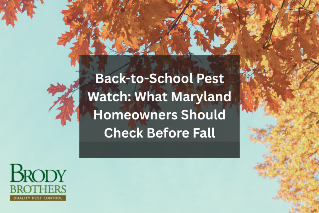 Back-to-School Pest Watch: What Maryland Homeowners Should Check Before Fall