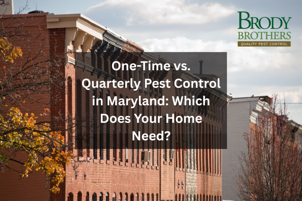One-Time vs. Quarterly Pest Control in Maryland: Which Does Your Home Need?