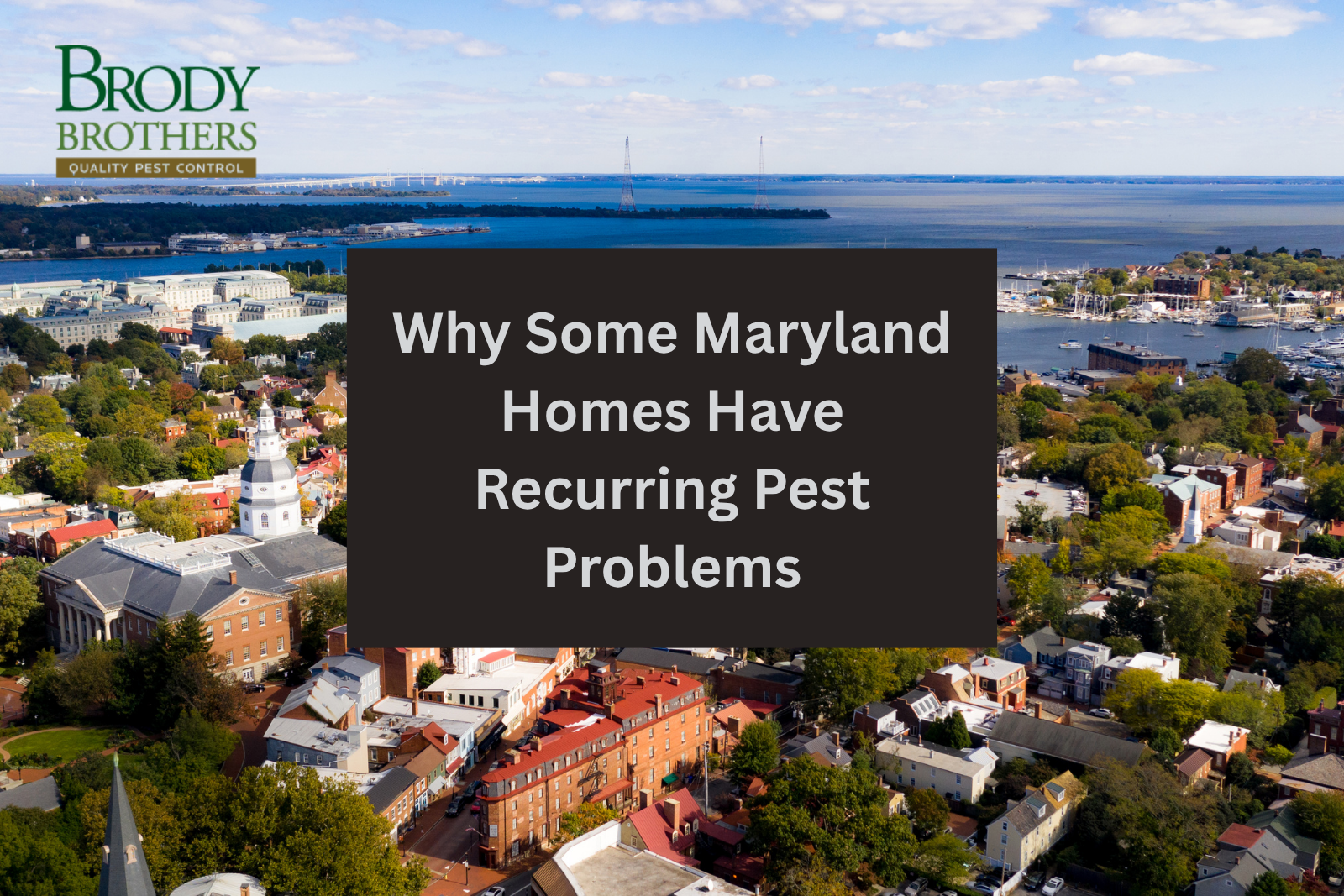 why-some-maryland-homes-have-recurring-pest-problems